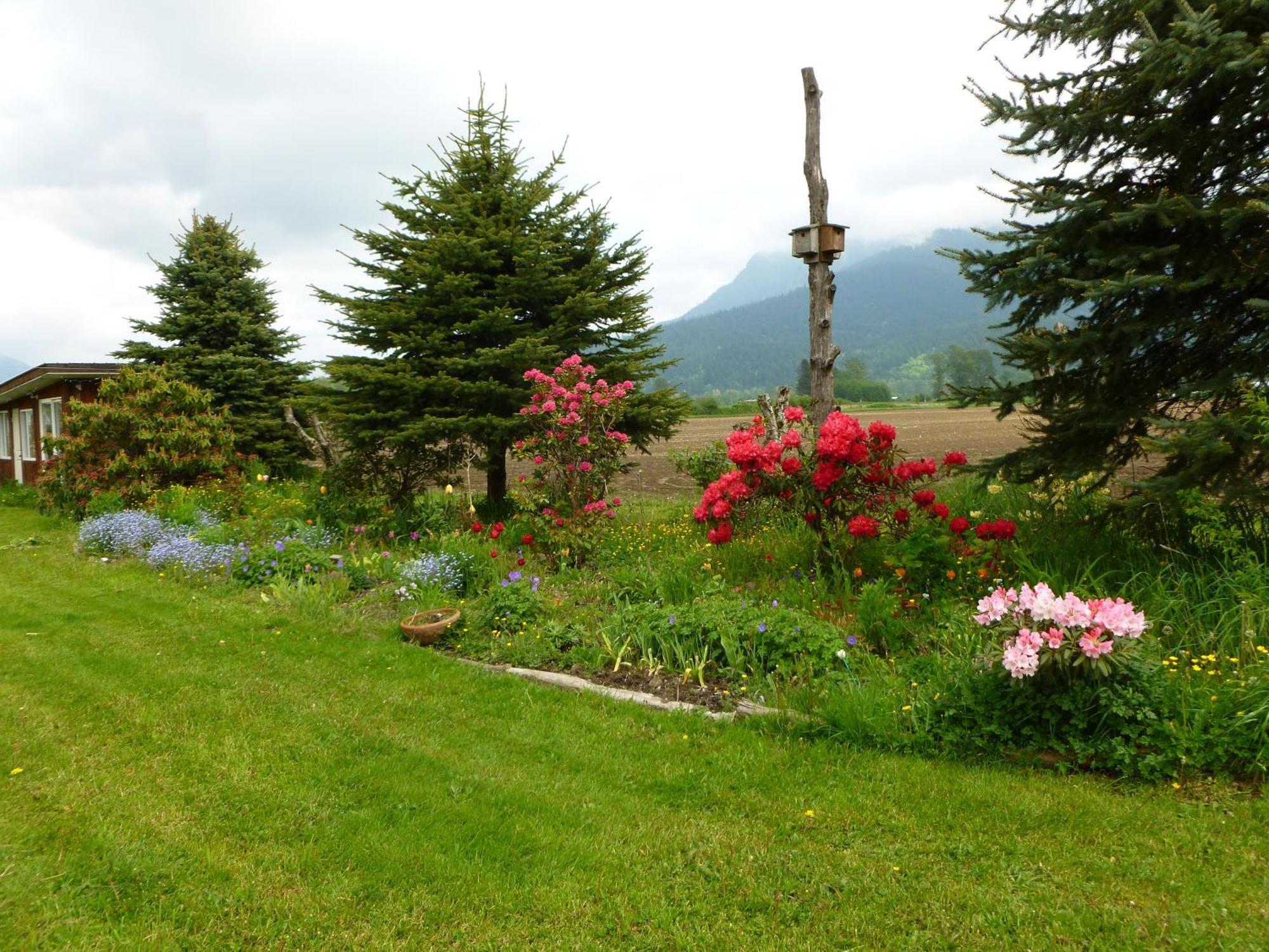 Harrison Hammond House Farmstay Harrison Mills Ngoại thất bức ảnh