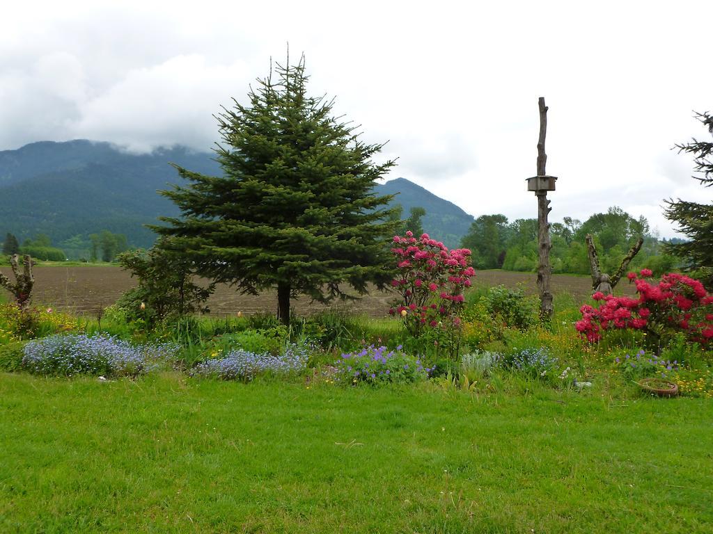Harrison Hammond House Farmstay Harrison Mills Ngoại thất bức ảnh