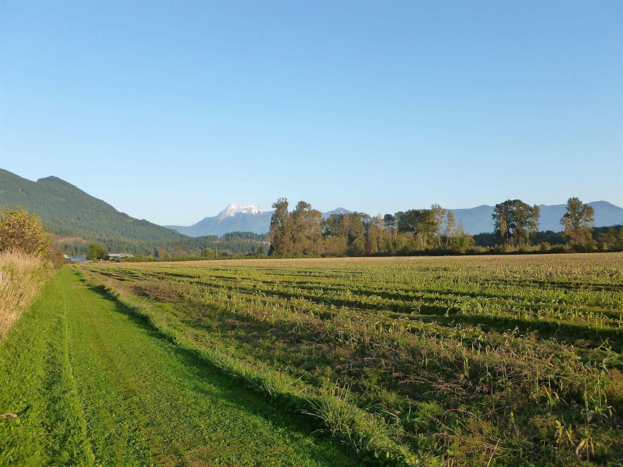 Harrison Hammond House Farmstay Harrison Mills Ngoại thất bức ảnh